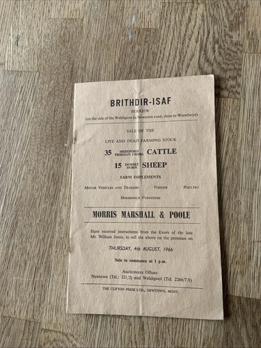 Vintage brithdir isaf berriew - vintage, brithdir-isaf
