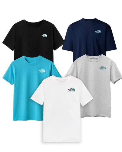 The north face men - north, men's