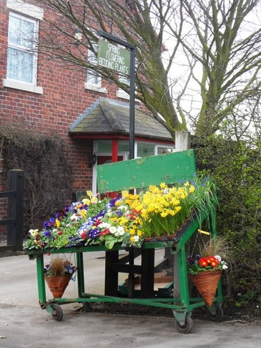 Photo spring flowering - photo,